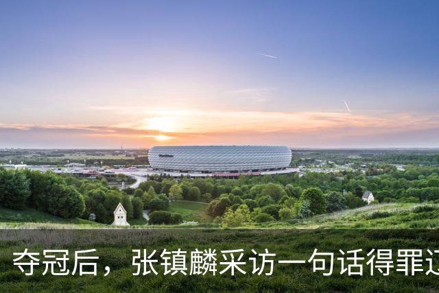 夺冠后，张镇麟采访一句话得罪辽宁，辽蜜：有本事到四川证明价值